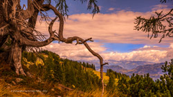 karnische alpen
